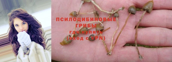 apvp Баксан