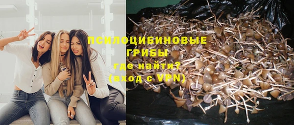 apvp Баксан